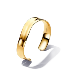 Organically Shaped Broad Open Bangle
