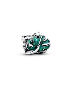 Green Monstera Leaves Charm