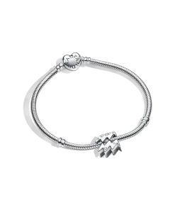 Aquarius Zodiac Charm Bracelet Set